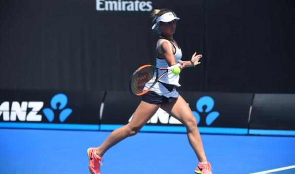 的步骤可以 的步骤可以